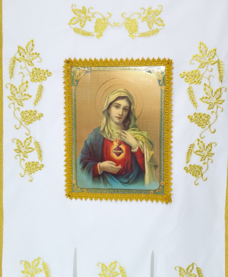 Cropped Faux leather Jacket